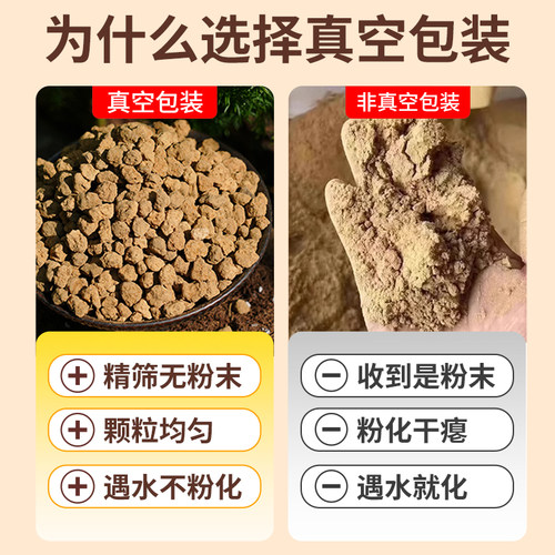 真空分装日本进口赤玉土三本线正品多肉盆景铺面专用爬宠营养土 - 图0