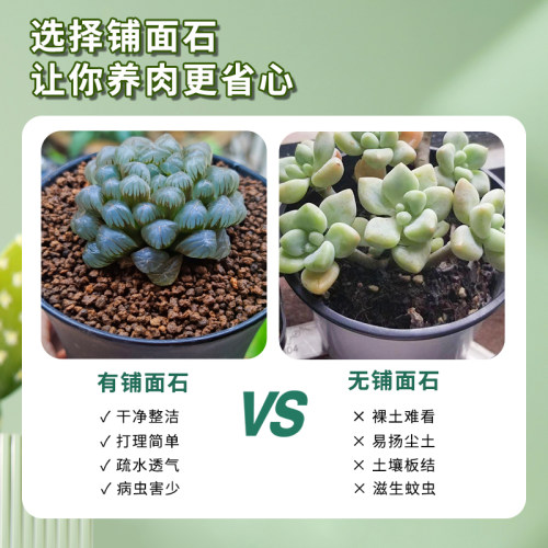 多肉营养土铺面石纯颗粒鹿沼赤玉土火山蛭石麦饭石通用垫底陶粒 - 图0