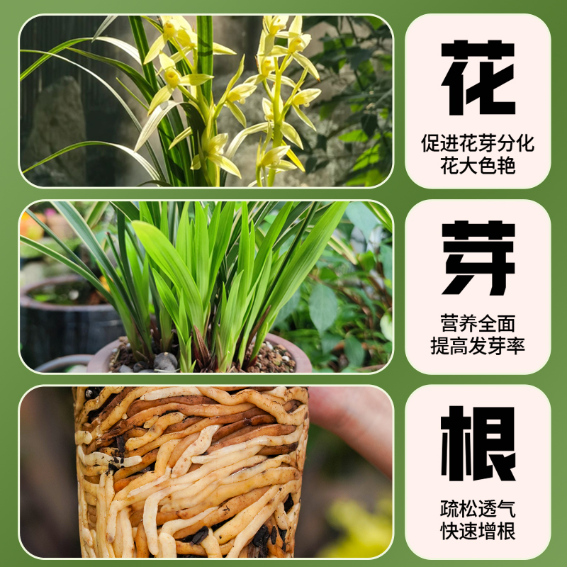 兰花专用养植土透气石斛松树皮养蝴蝶兰君子兰专用种植料营养花土