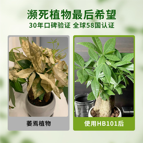 hb101植物活力素日本花卉绿萝多肉盆栽专用绿植营养活力液家用 - 图0