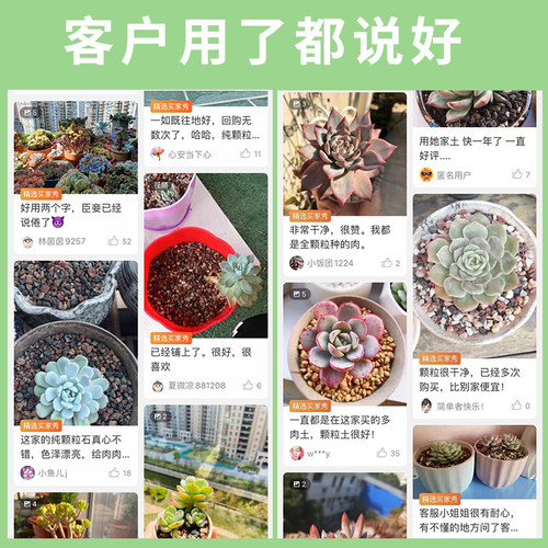 船长多肉彩虹石纯颗粒土营养土壤火山麦饭石多肉栽培土专用铺面石 - 图2