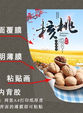 坚果海报定制自粘背胶装饰贴画