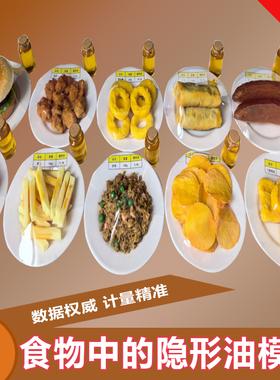 铭翼隐形油盐糖食物模型10件套