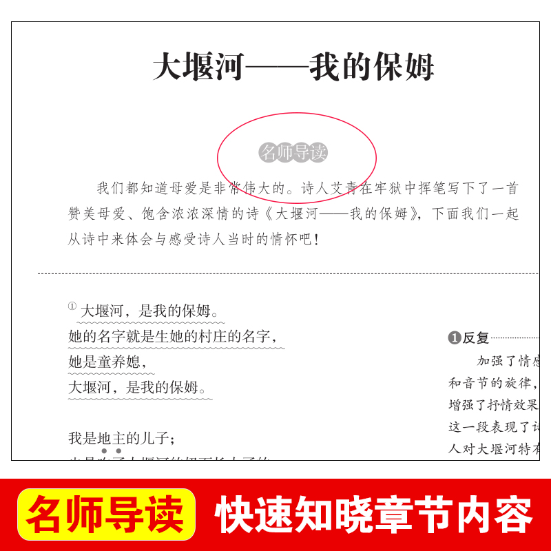 艾青诗选 正版原著无删减九年级名著语文课程化配套阅读丛书人民文学教育经典读本天地出版社初中生课外书籍寒暑假读物 - 图1