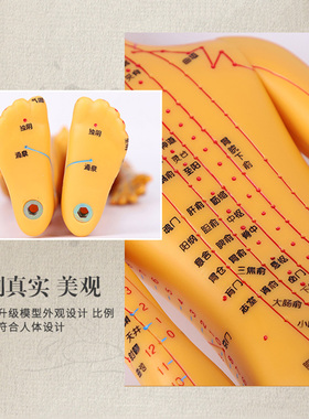 中医经络针灸教学人体模型可扎针