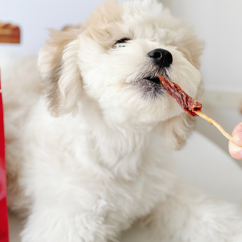 Sunrise盛来知宠物零食鸡肉鸡胗牛皮棒洁齿磨牙棒小型幼犬狗零食 - 图2