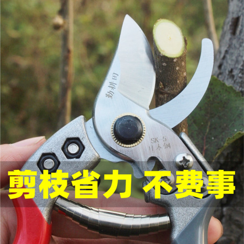 勤耕田果树修枝剪园林剪家用花枝剪子强力剪树枝剪日本钢园艺剪刀 - 图1