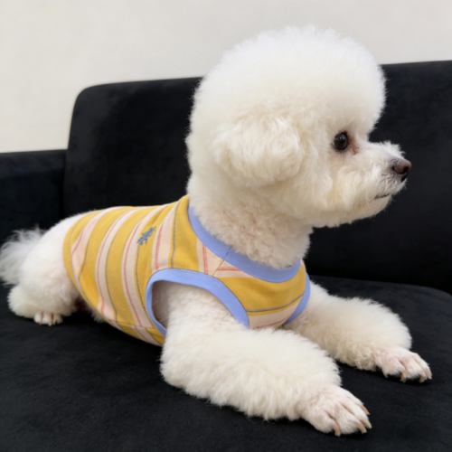 宠物新款夏季圆领狗狗背心雪纳瑞泰迪比熊小狗薄款西高地中小犬潮 - 图3