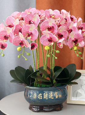 仿真花特大号手感PU蝴蝶兰盆景客厅电视柜装饰花玄关公司假花摆件