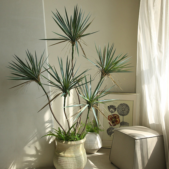 Simulated green plants Jimland Nordic niche floor-standing potted plants