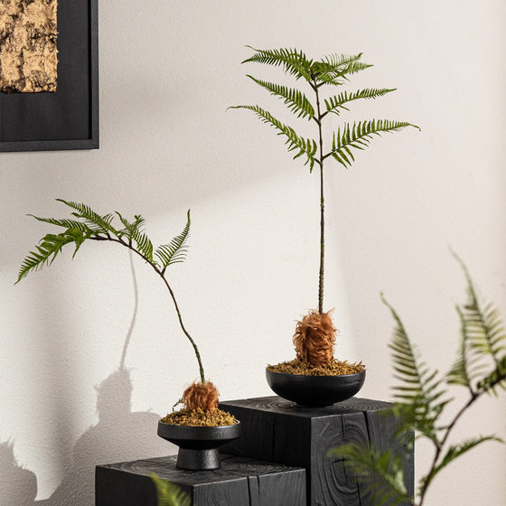 New Chinese style simulated asparagus bamboo tray landscape decoration