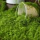 Simulated moss turf landscaping fake moss lawn