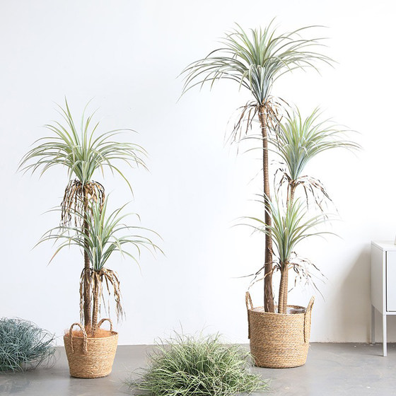 Simulated agave, Dutch iron potted plants, fake green plants for landscaping
