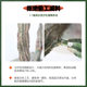 Simulated cactus plant landscaping interior decoration ornaments