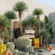 Simulated agave dracaena green plants potted plants shopping mall exhibition hall tropical bionic sand plant landscaping decorative ornaments