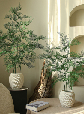 仿真文竹绿植盆栽造景摆件假植物