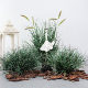 Simulated green plant haystack plant grass cluster decorative ornaments