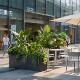 Simulated green plant partition flower box combination landscaping