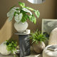 Retro cement flowerpot wabi-sabi style courtyard antique flower vessel