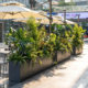 Simulated green plant partition flower box combination landscaping