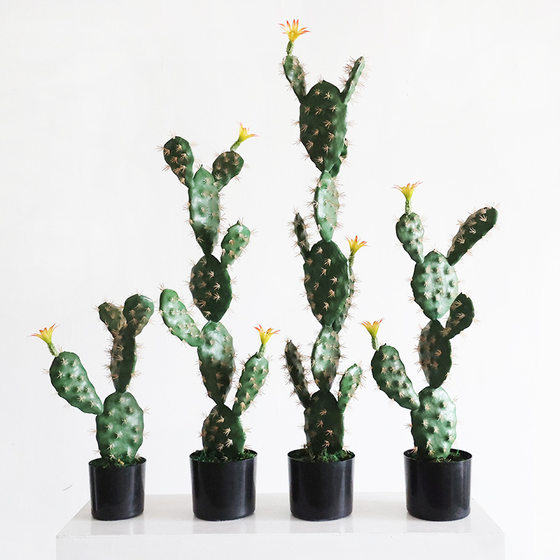 Simulated cactus green plants potted sand plants landscaping