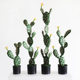 Simulated cactus green plants potted sand plants landscaping