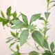 Nordic style simulated horse drunken tree leaves home decoration