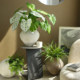 Wabi-sabi style retro old decorative landscaping cement flowerpot