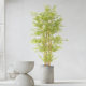 New Chinese style simulated golden bamboo green plant potted bonsai