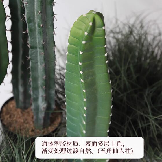 Simulated cactus tropical desert green plant landscaping