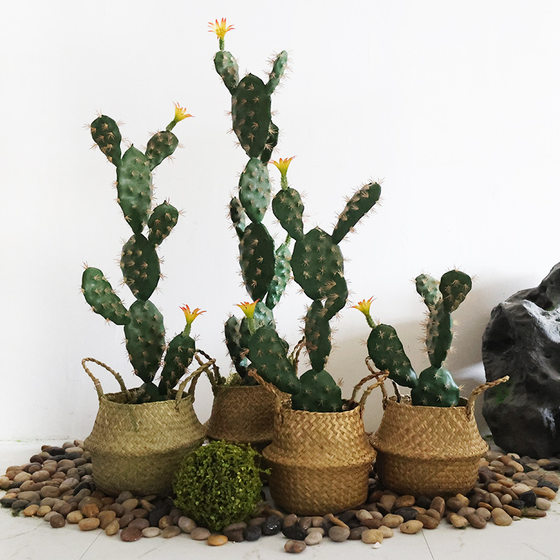Simulated cactus green plants potted sand plants landscaping