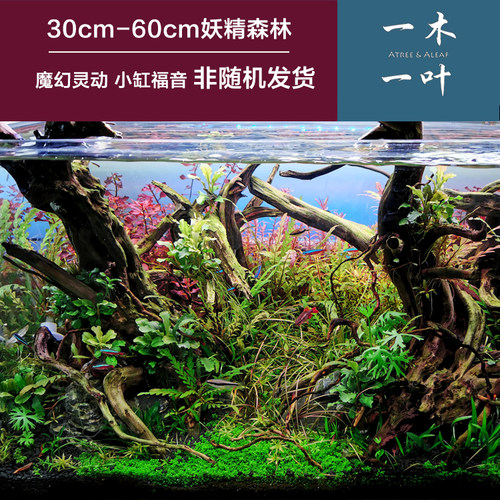 沉木包邮 造景沉木 草缸造景 杜鹃根 草缸  一木一叶原创妖精森林 - 图1