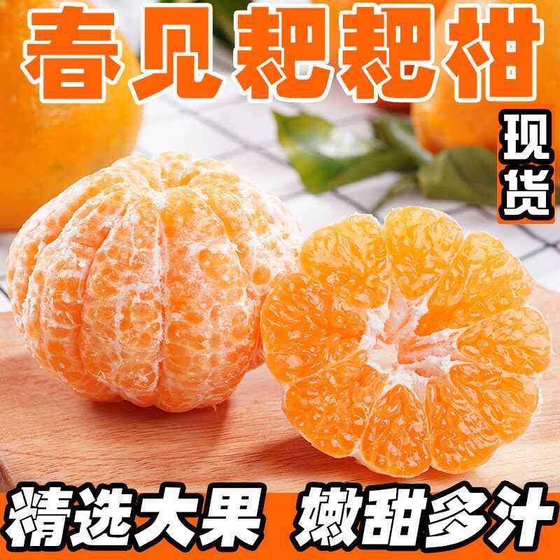 四川春见耙耙柑10斤特级大果现摘春见粑粑柑新鲜应季水果顺丰包邮