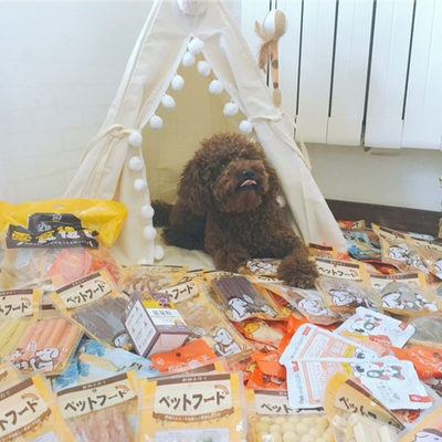 猫窝狗帐篷宠物屋北欧极简ins风纯棉耐抓半封闭别墅小型猫犬适用 虎窝淘