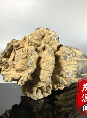 古玩出土青铜器白菜摆件百财招财进宝聚财传世青铜器老物件收藏