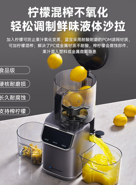 蓝宝智能分类渣汁分离原汁机