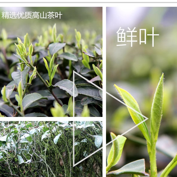 2024新茶叶雀舌碎茶片雀舌碎片明前绿茶春茶龙井茶叶茶农直销500g - 图0