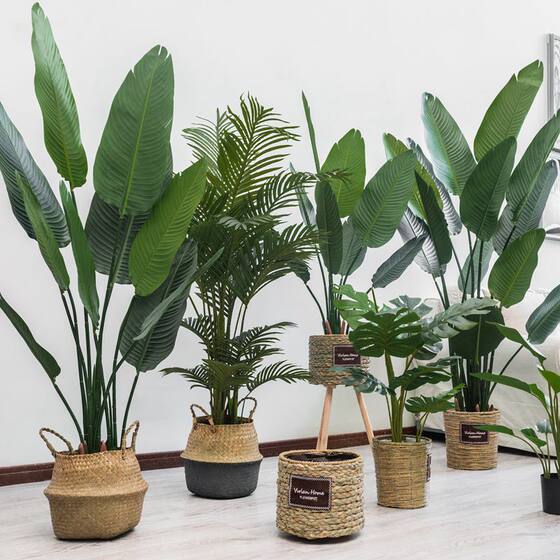 Nordic simulation plant traveler banana indoor floor-standing potted ornaments decorative turtle leaf bamboo green plant bird of paradise fake tree