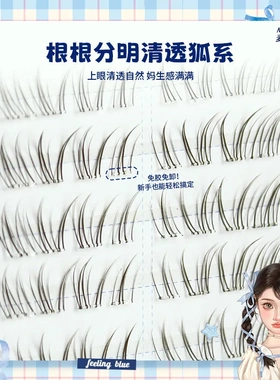 麦丢丢花小兔自然清透假睫毛根根分明新手仿真漫画分段氛围感