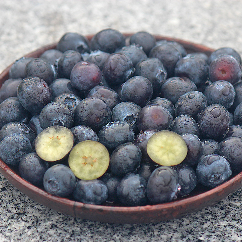 六井旗舰店丹东蓝莓大果新鲜500g鲜果蓝梅孕妇宝宝辅食当季水果护眼包邮1