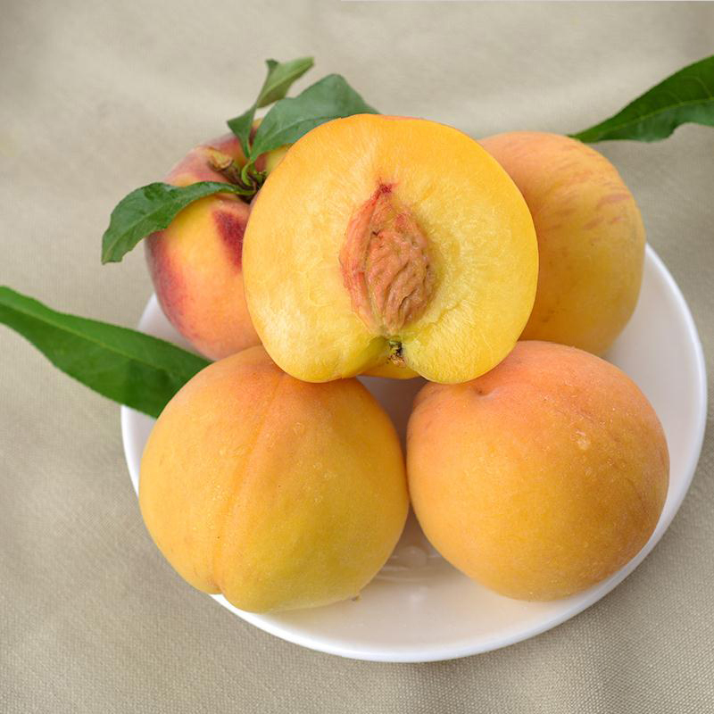六井旗舰店新鲜黄桃10斤桃子当季现摘脆桃应季新鲜水果桃子孕妇整箱批发包邮1
