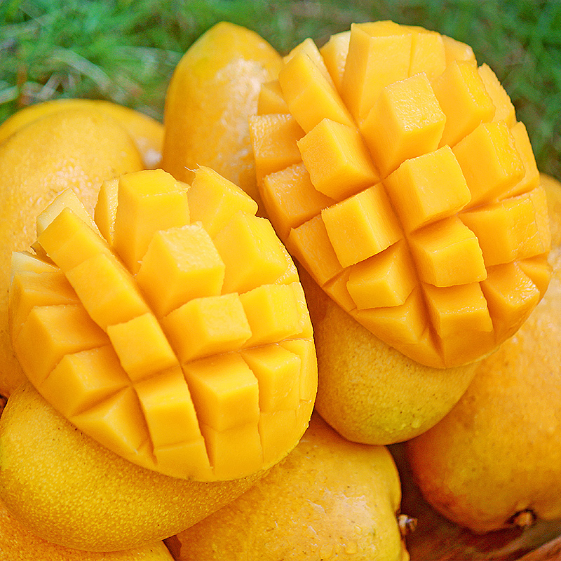 六井旗舰店海南特产小台农芒果9斤热带小台芒果甜水果新鲜应当季整箱包邮101