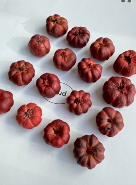 森系圣诞迷你南瓜真花干花小桔瓜大豆荚DIY材料香薰蜡烛拍摄道具