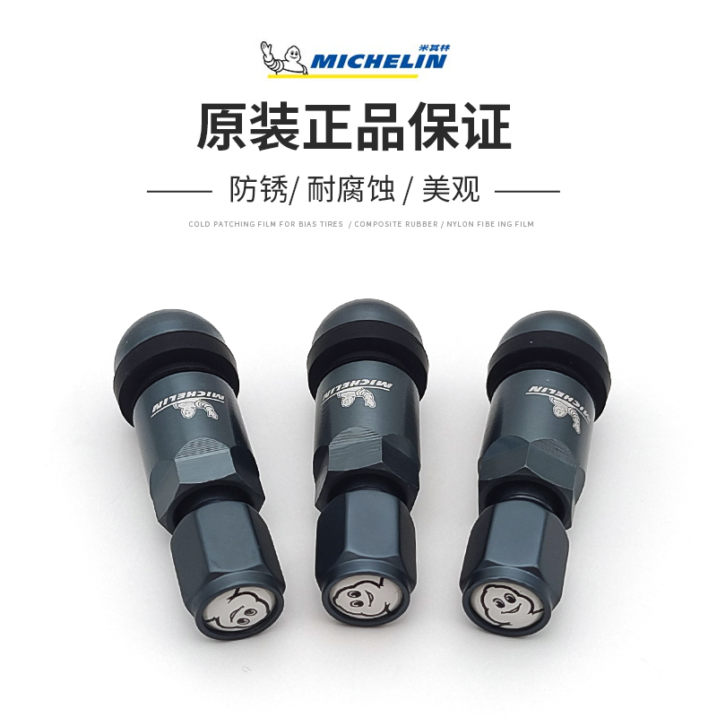 米其林汽车轮胎气门嘴轮毂真空胎铝合金气门芯套装轮胎帽盖原厂,淘宝优惠券,粉丝福利购,淘宝优惠卷