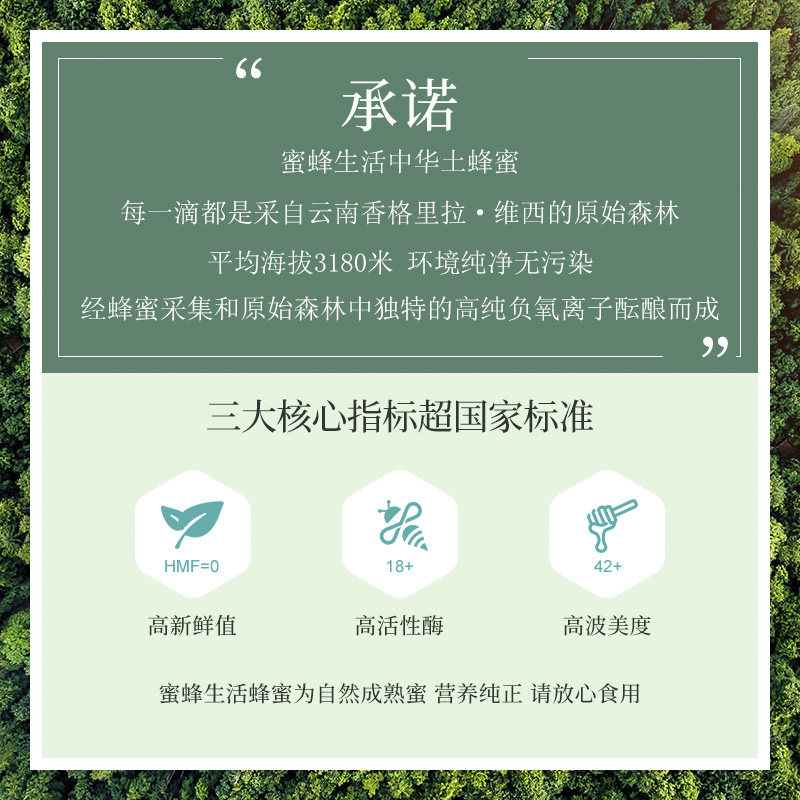 【蜜蜂生活】香格里拉高原纯正土蜂蜜 蜜蜂生活蜂蜜
