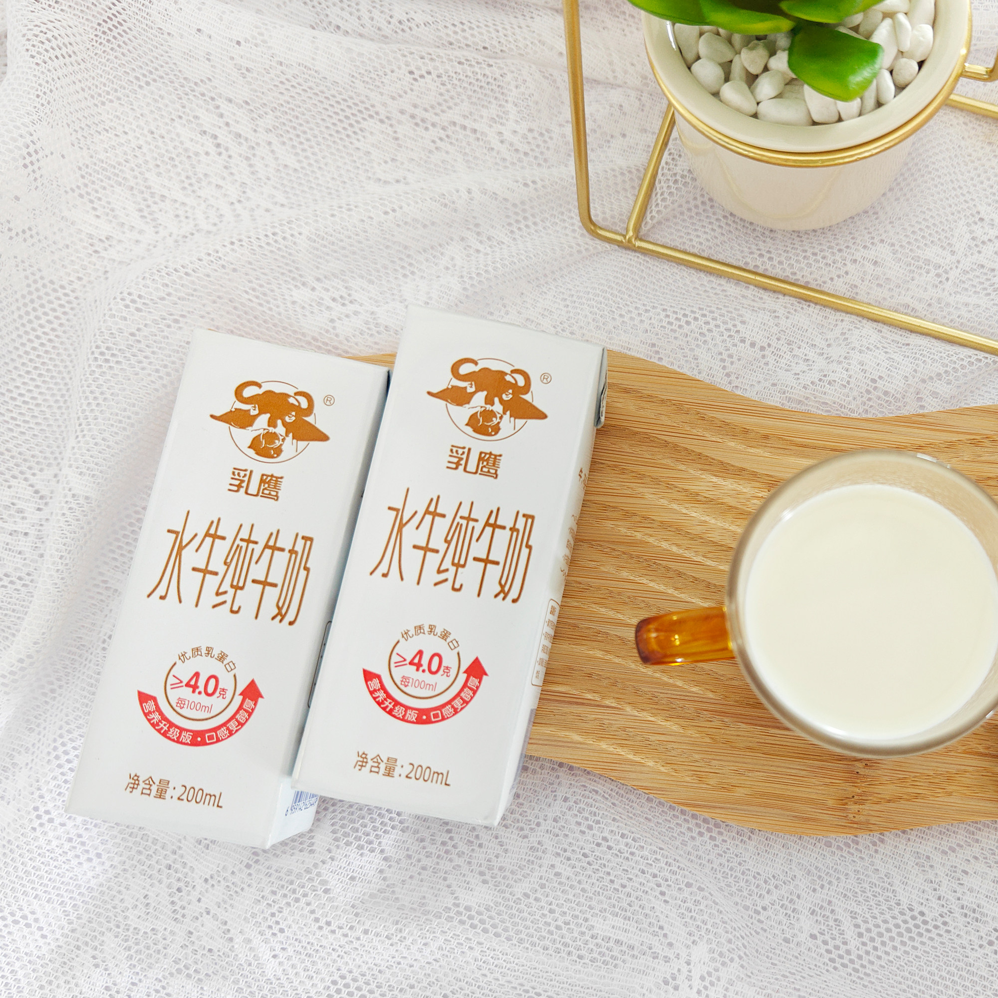 乳鹰水牛奶广西南国乳业水牛纯牛奶吃甘蔗的高钙水牛奶正品授权店,淘宝优惠券,粉丝福利购,淘宝优惠卷