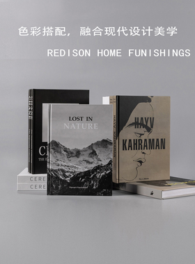 样板房软装饰品道具书外文真可翻译假书桌面摆件陈列摄影道具
