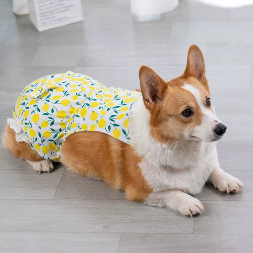 Собачья физиологические штаны Женщина -собака тетя артефакт, сука, менструальная защитная штаны Пет Тедди Корги защита