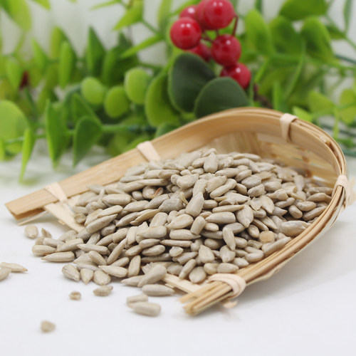熟瓜子仁油葵仁原味炒酸奶饼干糕点原料5斤装冰粉配料散装商用 - 图1