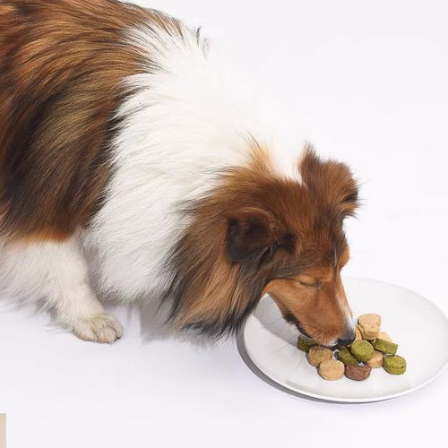 Neku呢酷冻干生骨肉鹿肉鸵鸟肉牛肉火鸡肉鱼多款犬猫零食补充营养-图1